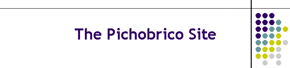 The Pichobrico Site