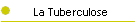 La Tuberculose
